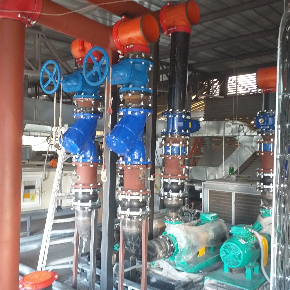 2054f21e 6371 4fc1 ba72 02d1ae8e5b02 cropped processed by imagy