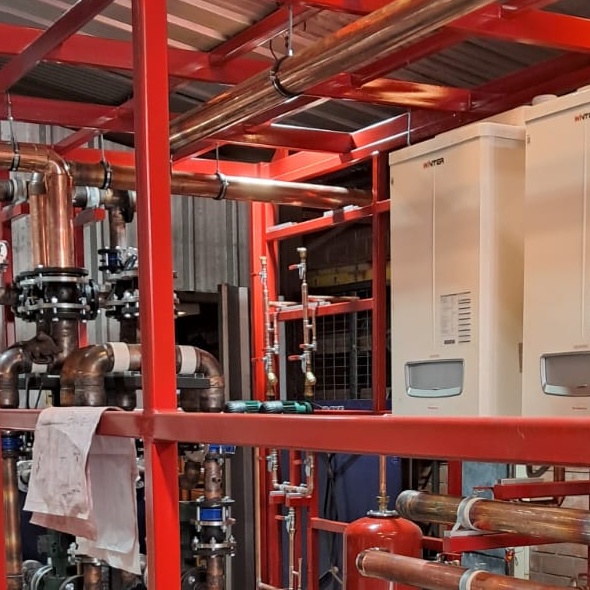 a05ff1dc 5302 4e43 b704 26d3c668f6cb cropped processed by imagy